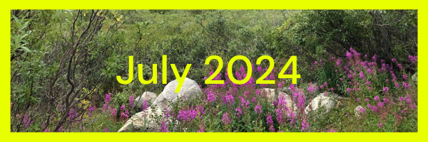 Wildflowers with July 2024 text overlay